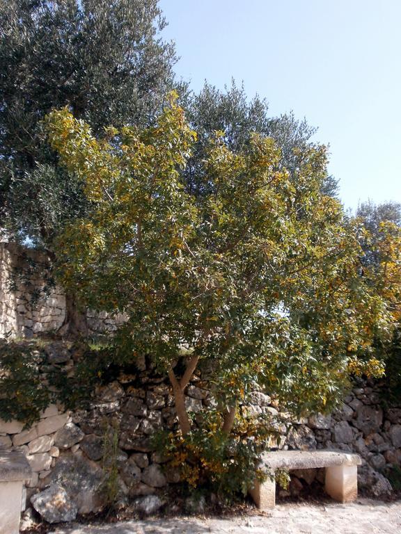 Trullo Villa Giuliana Con Giardino Posizione Panoramica Free Wifi Ostuni Habitación foto